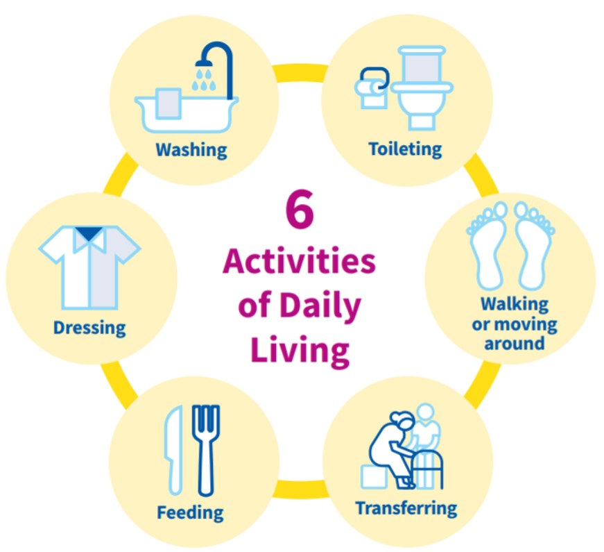 A diagram of activities of daily living